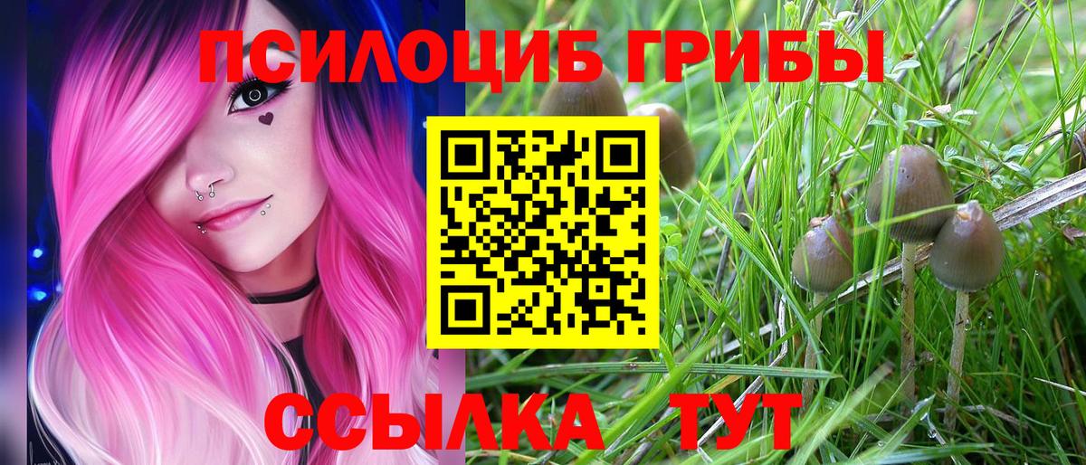 Псилоцибиновые грибы ЛСД Свободный