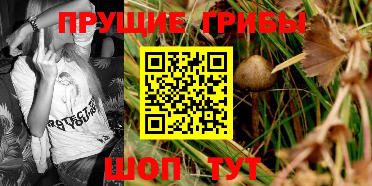 Свободный  Псилоцибиновые грибы Psilocybe  Вход с VPN 